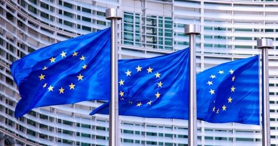 Опыт компании Greeneufuture в оформлении гражданства ЕС для IT-бизнеса в Европе